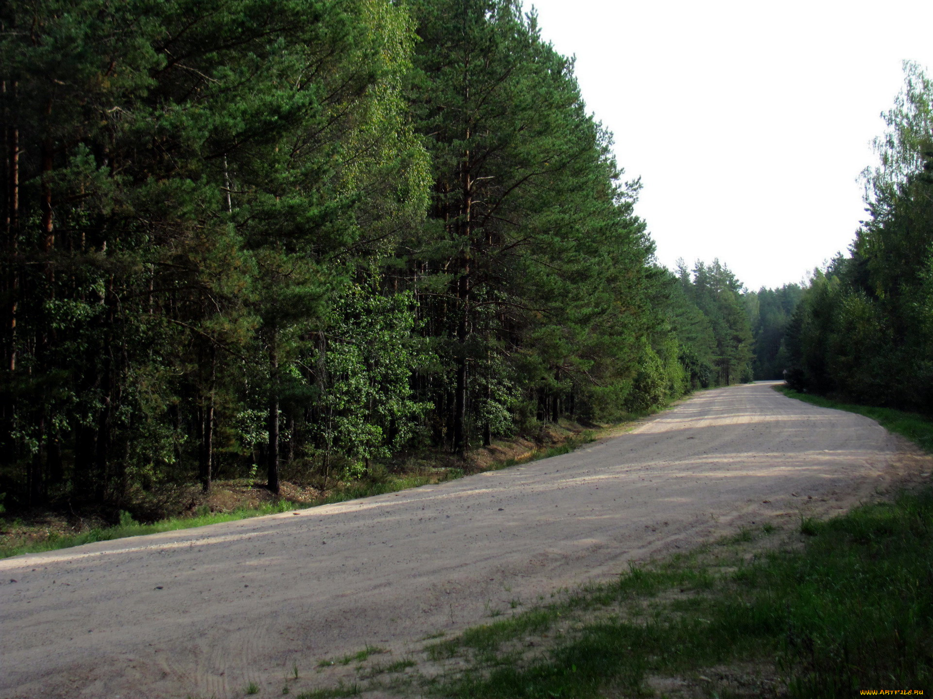 природа, дороги, проселочная, дорога