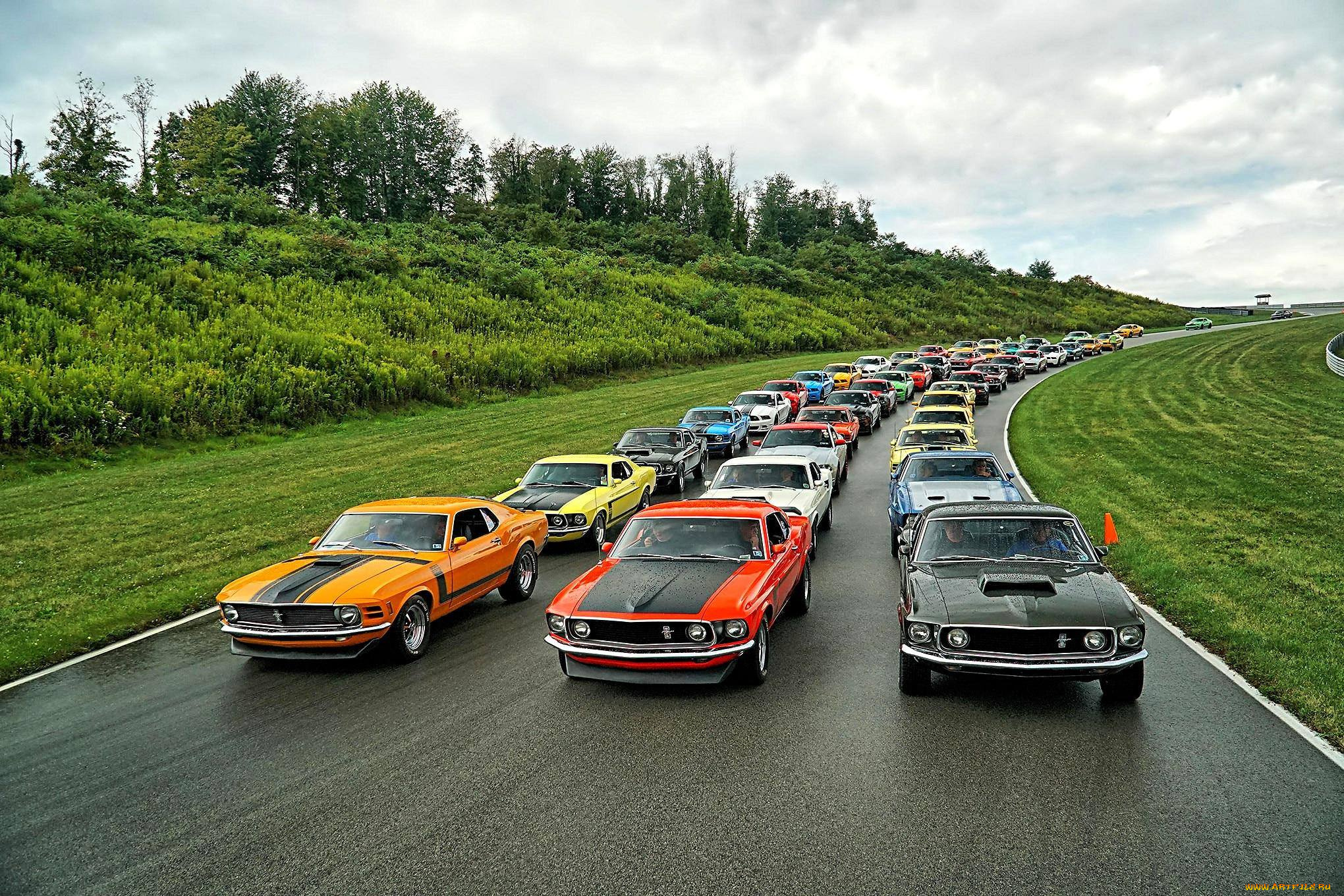 автомобили, mustang