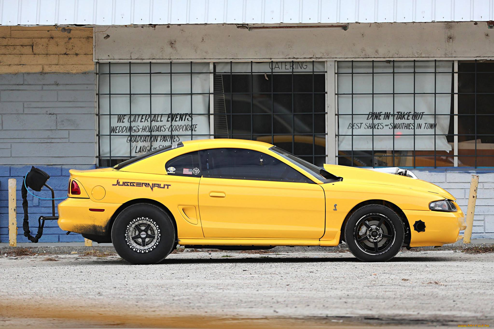 автомобили, mustang