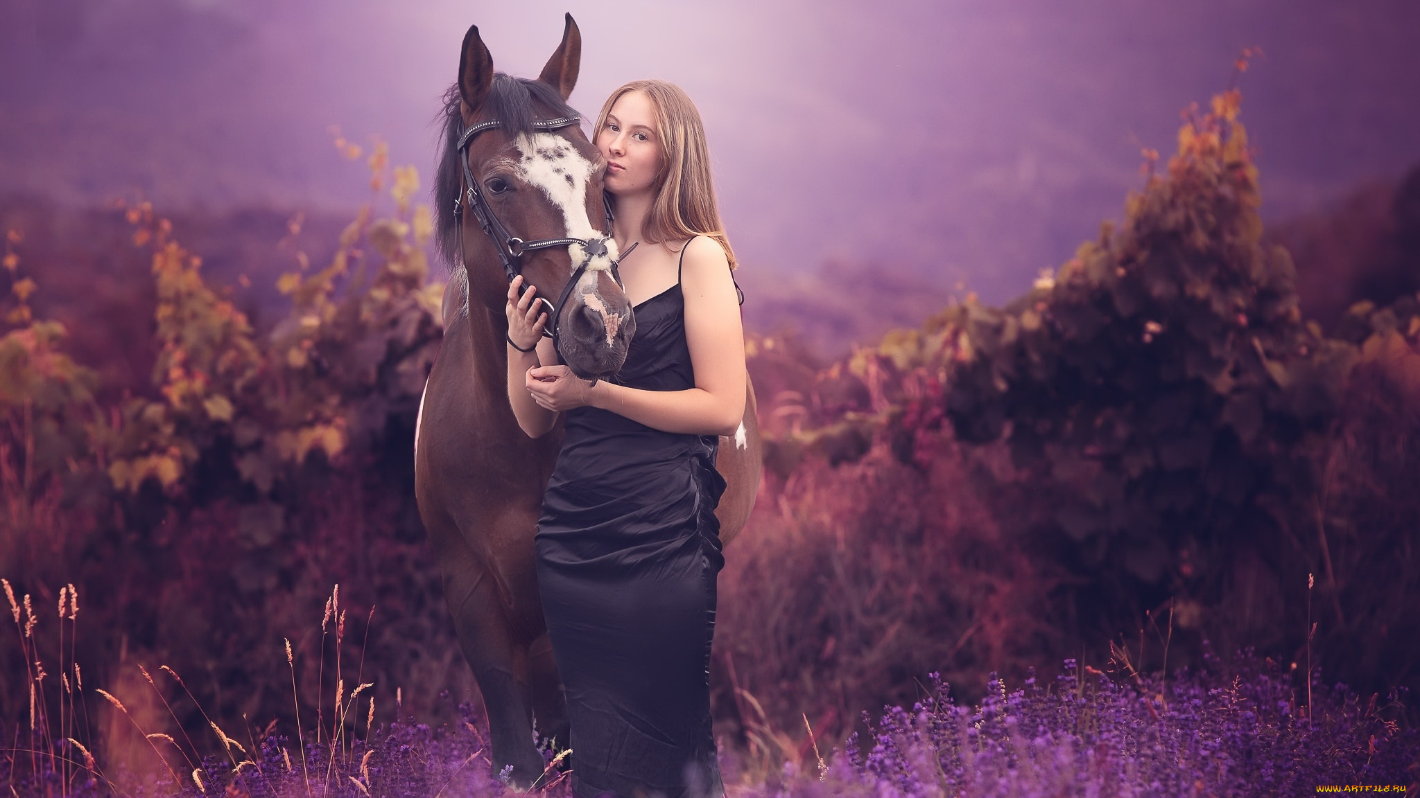 девушки, -, блондинки, , светловолосые, блондинка, лошадь, платье