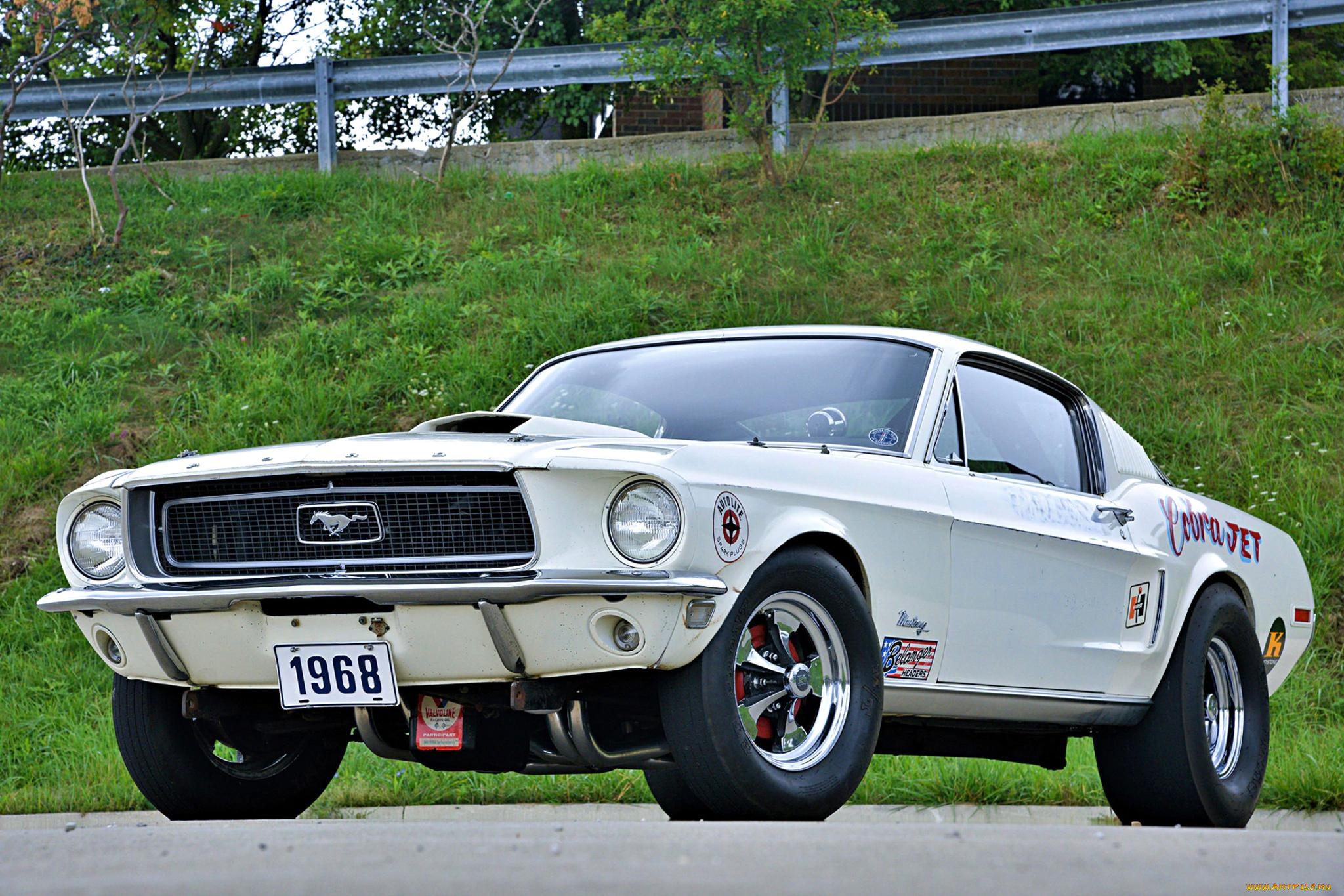 автомобили, mustang