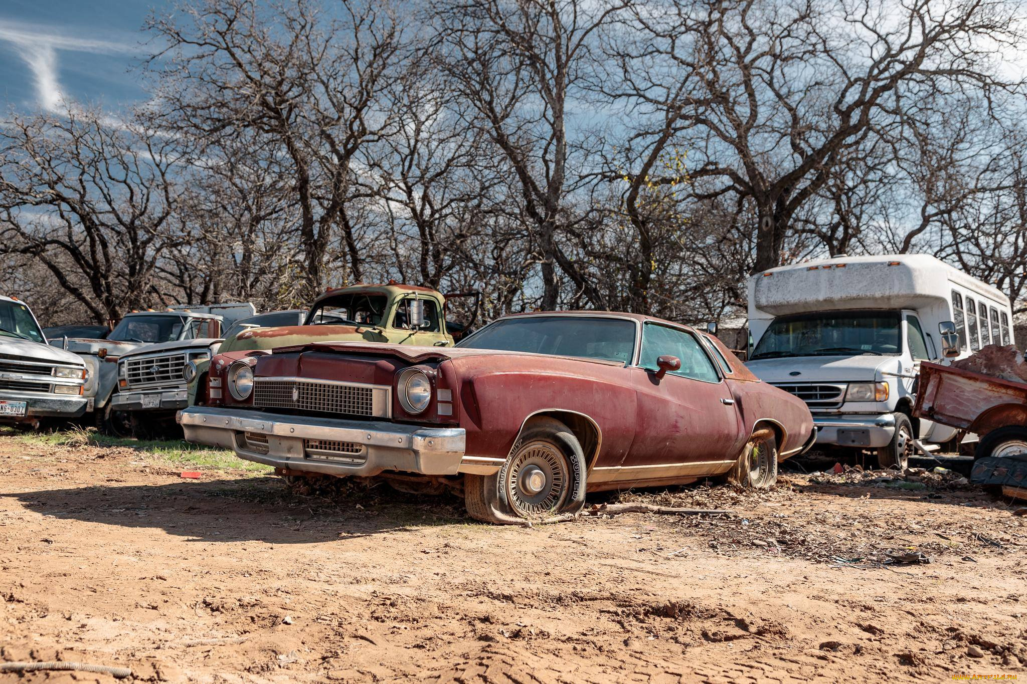 автомобили, выставки, и, уличные, фото, junkyard