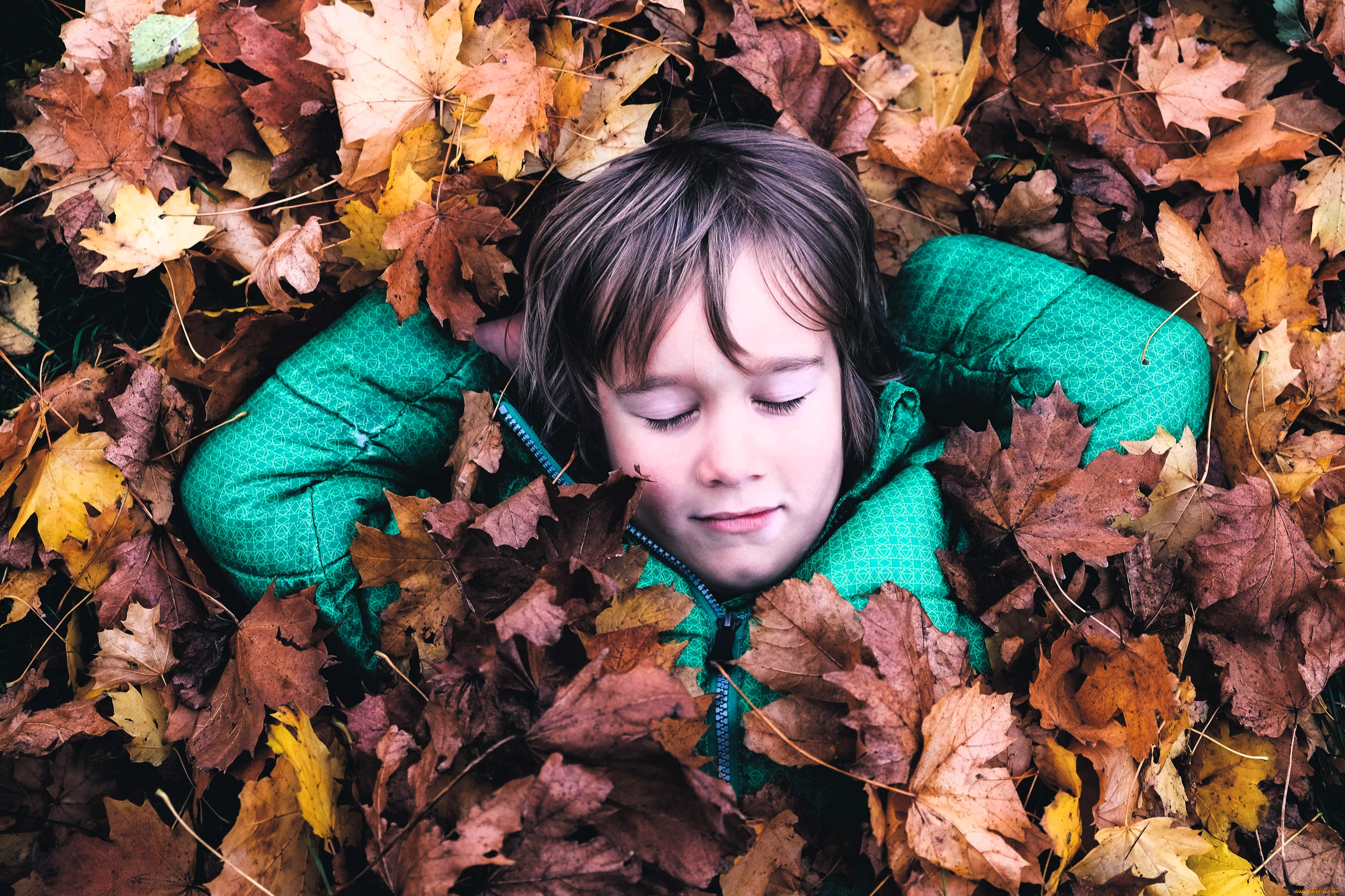 разное, дети, девочка, осень, куртка, листья