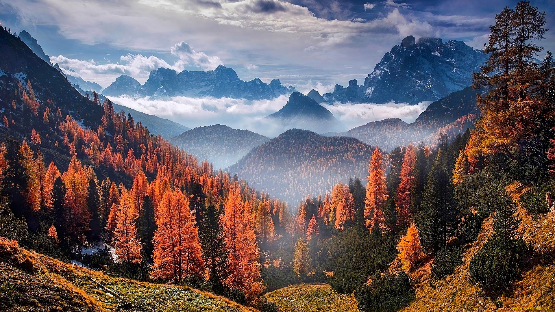 природа, горы, лес, деревья, туман, осень, облака