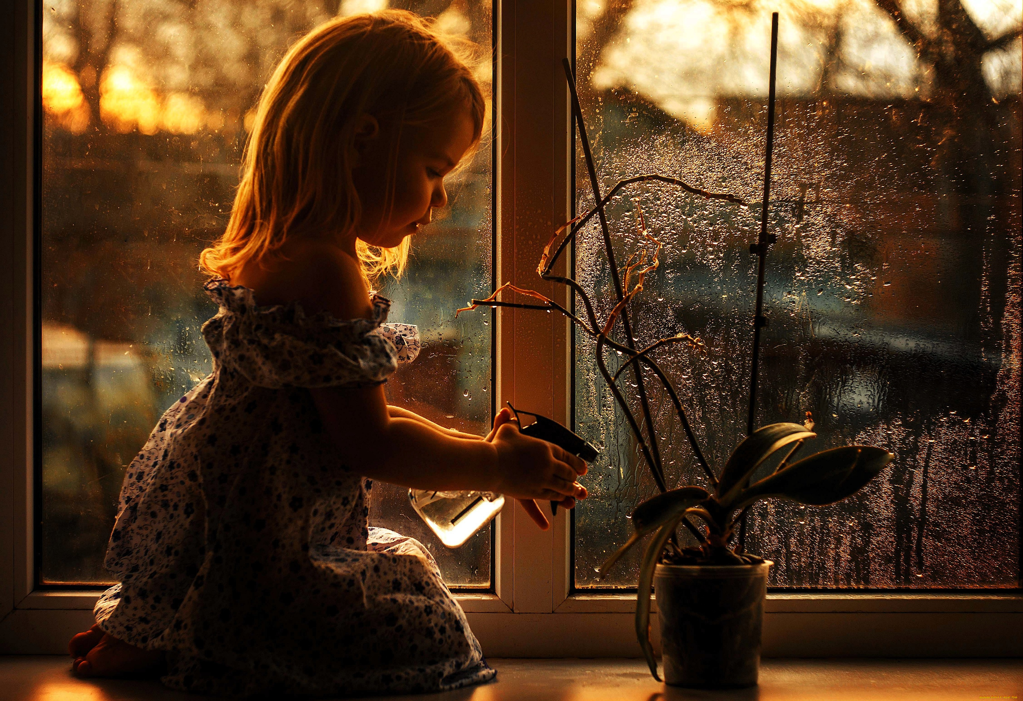 разное, дети, девочка, платье, цветок, окно, дождь, подоконник