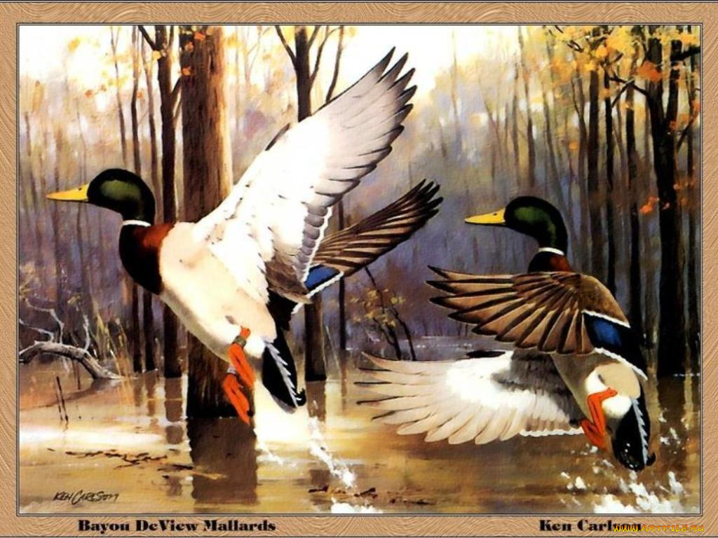 рисованные, ken, carlson