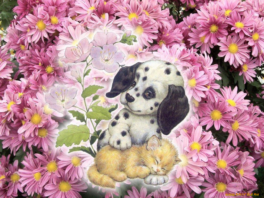 рисованные, животные, котенок, щенок