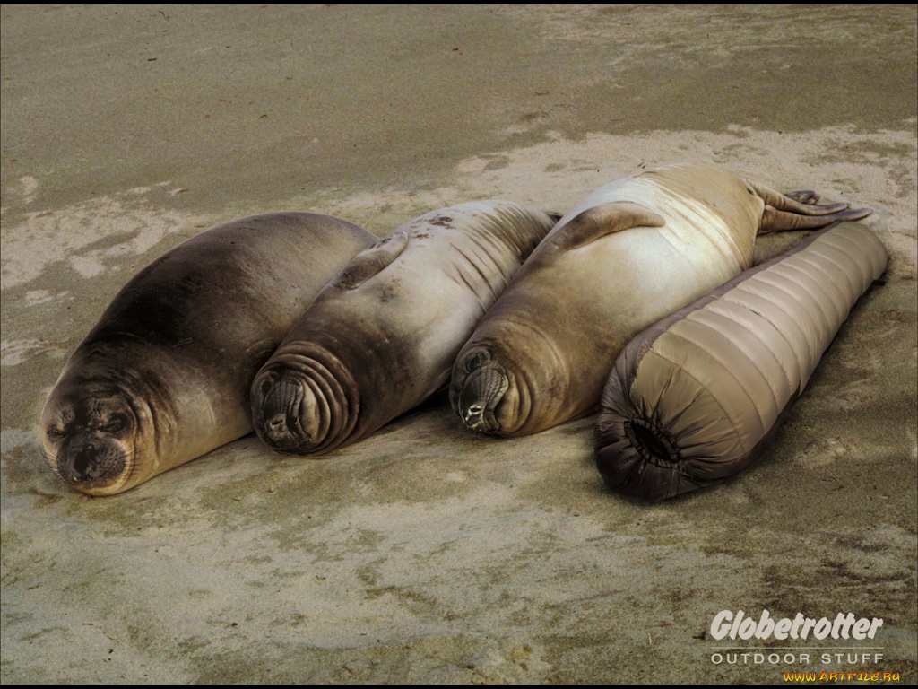 юмор, приколы