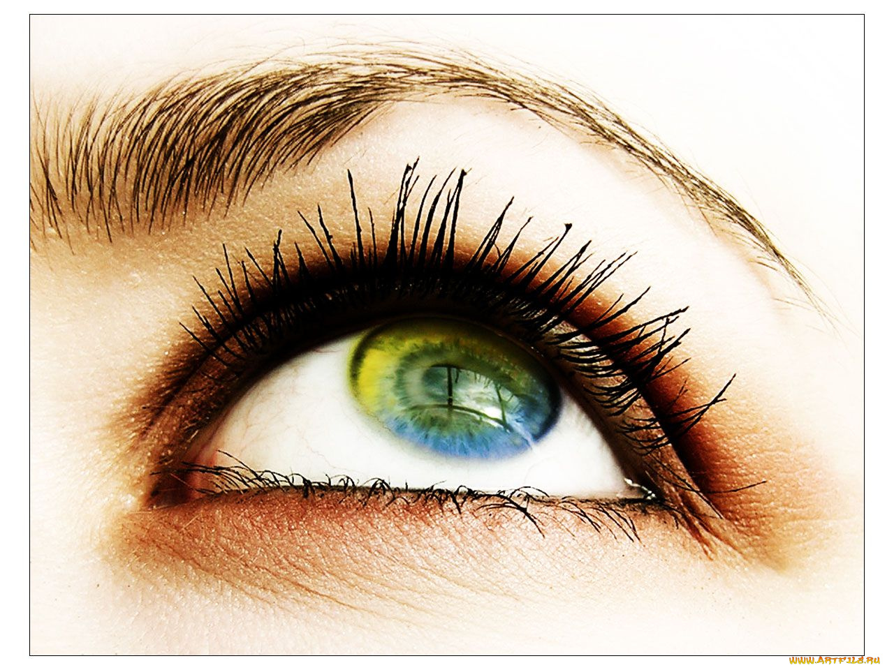 разное, глаза