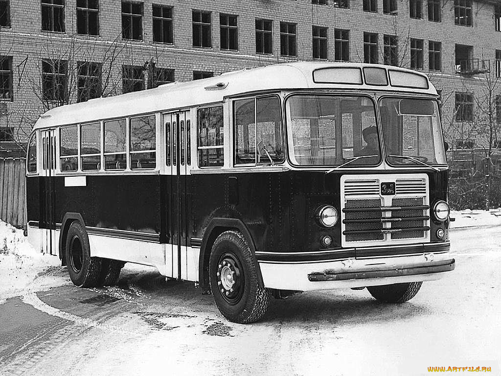 автомобили, автобусы