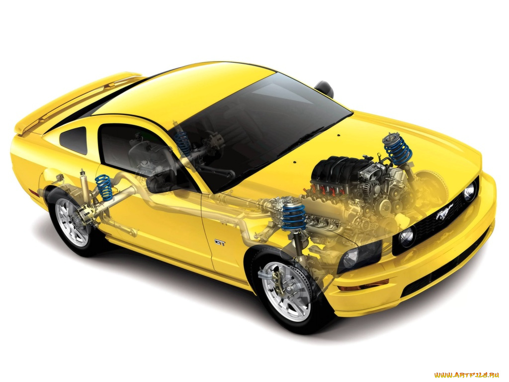 автомобили, рентген