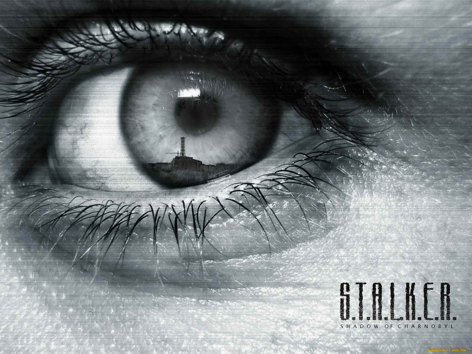видео, игры, shadow, of, chernobyl