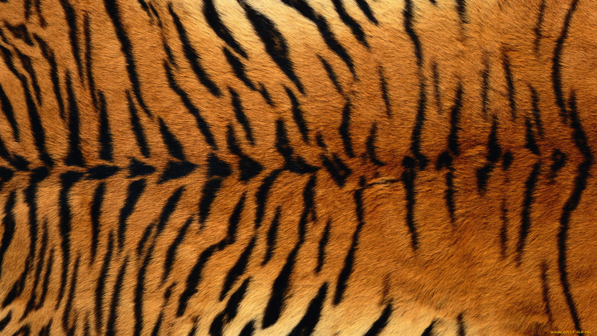 разное, текстуры