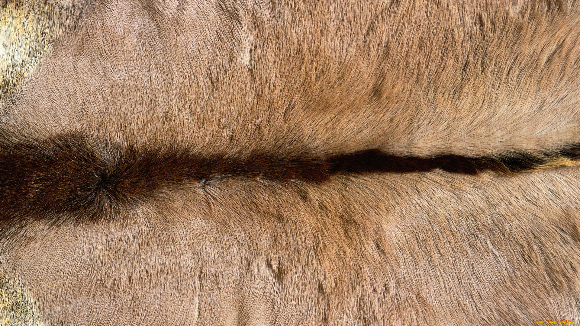 разное, текстуры