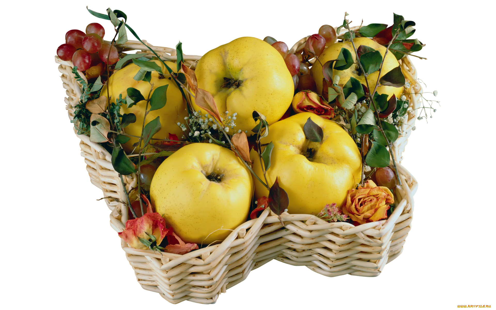 еда, фрукты, ягоды