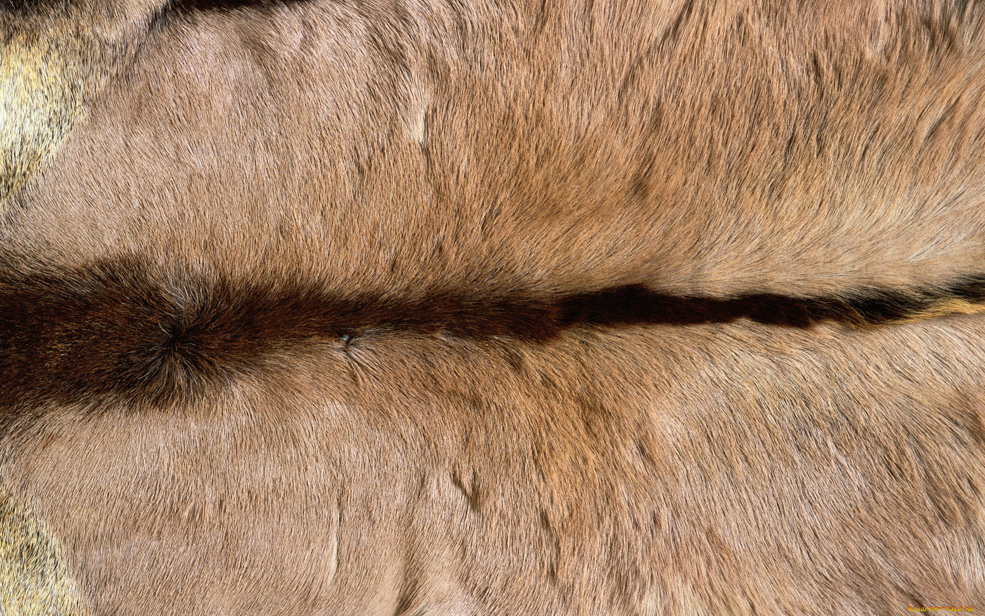 разное, текстуры