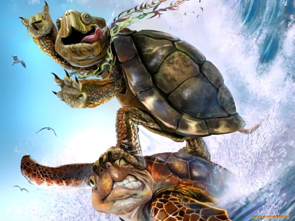 рисованные, животные, черепахи