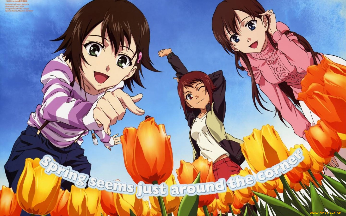 аниме, true, tears