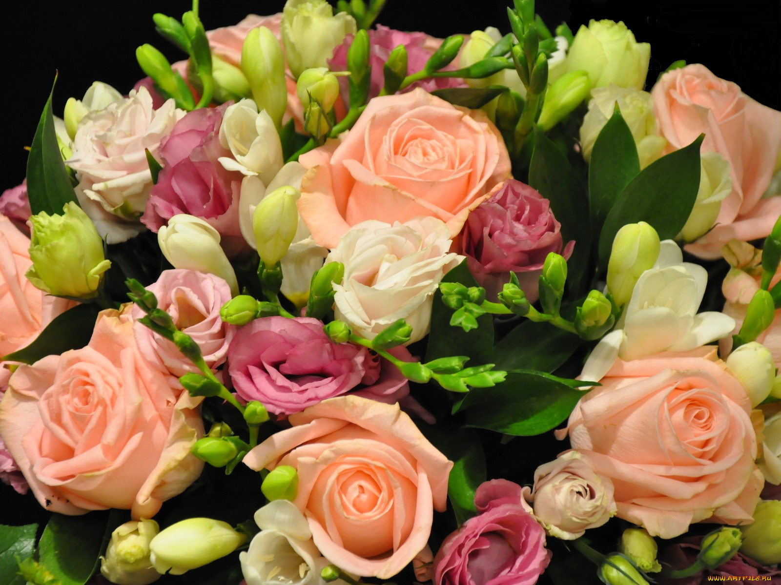 цветы, букеты, композиции