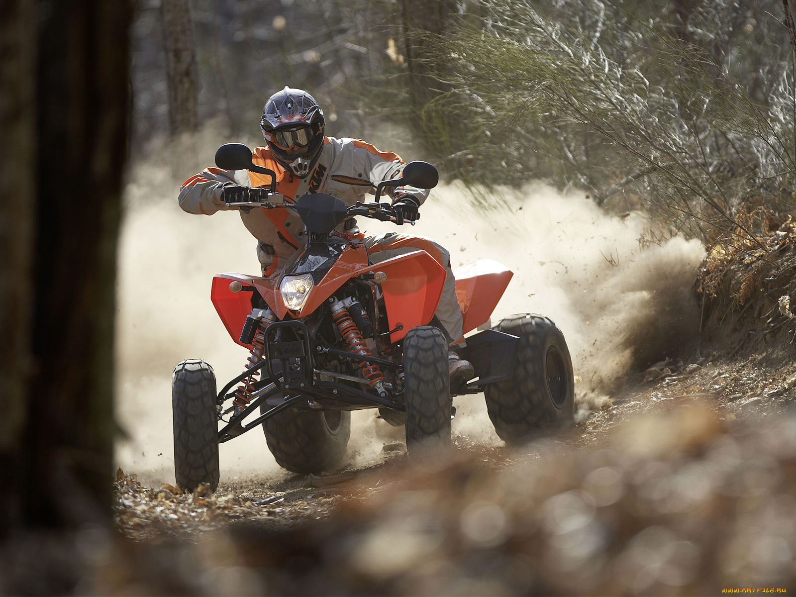 спорт, мотокросс