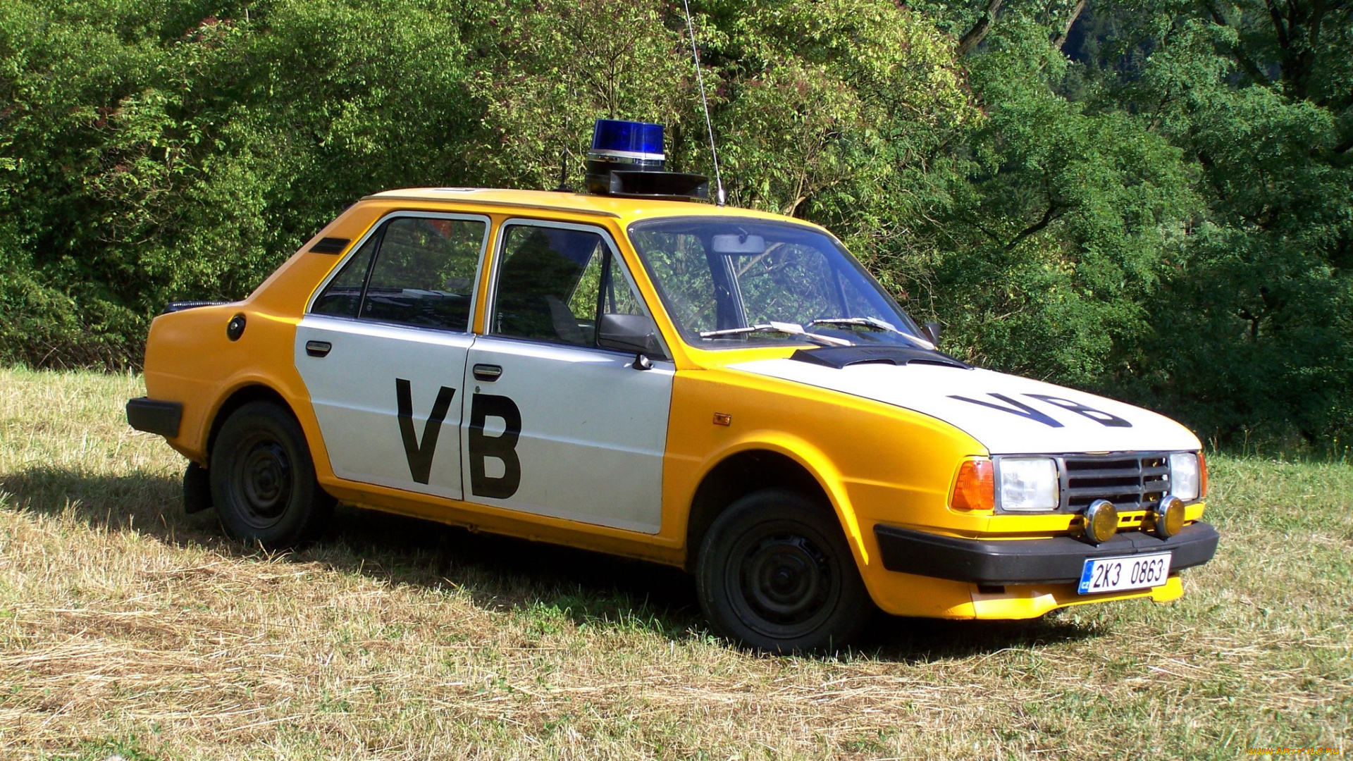 автомобили, полиция