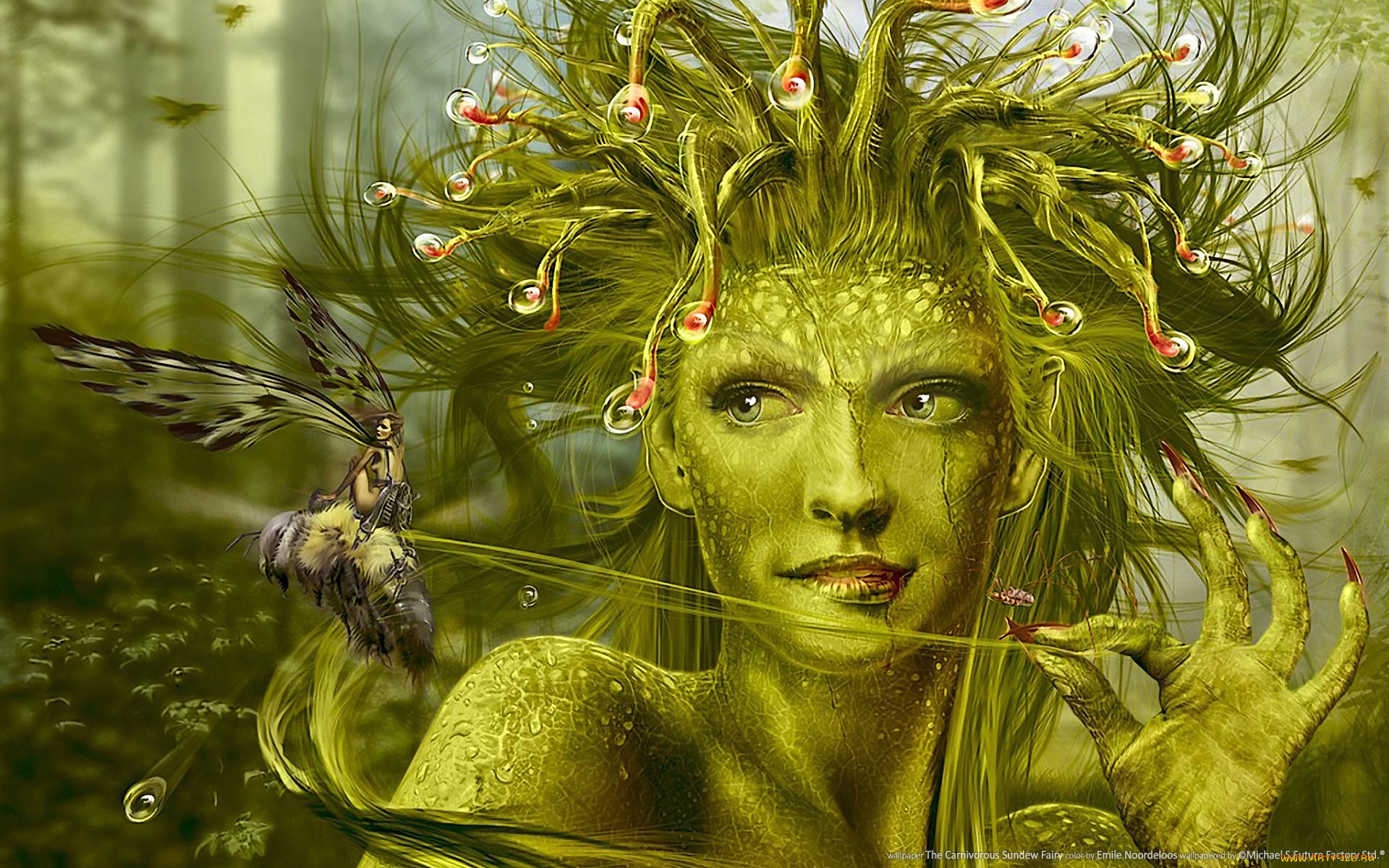 the, carnivorous, sundew, fairy, фэнтези, эльфы