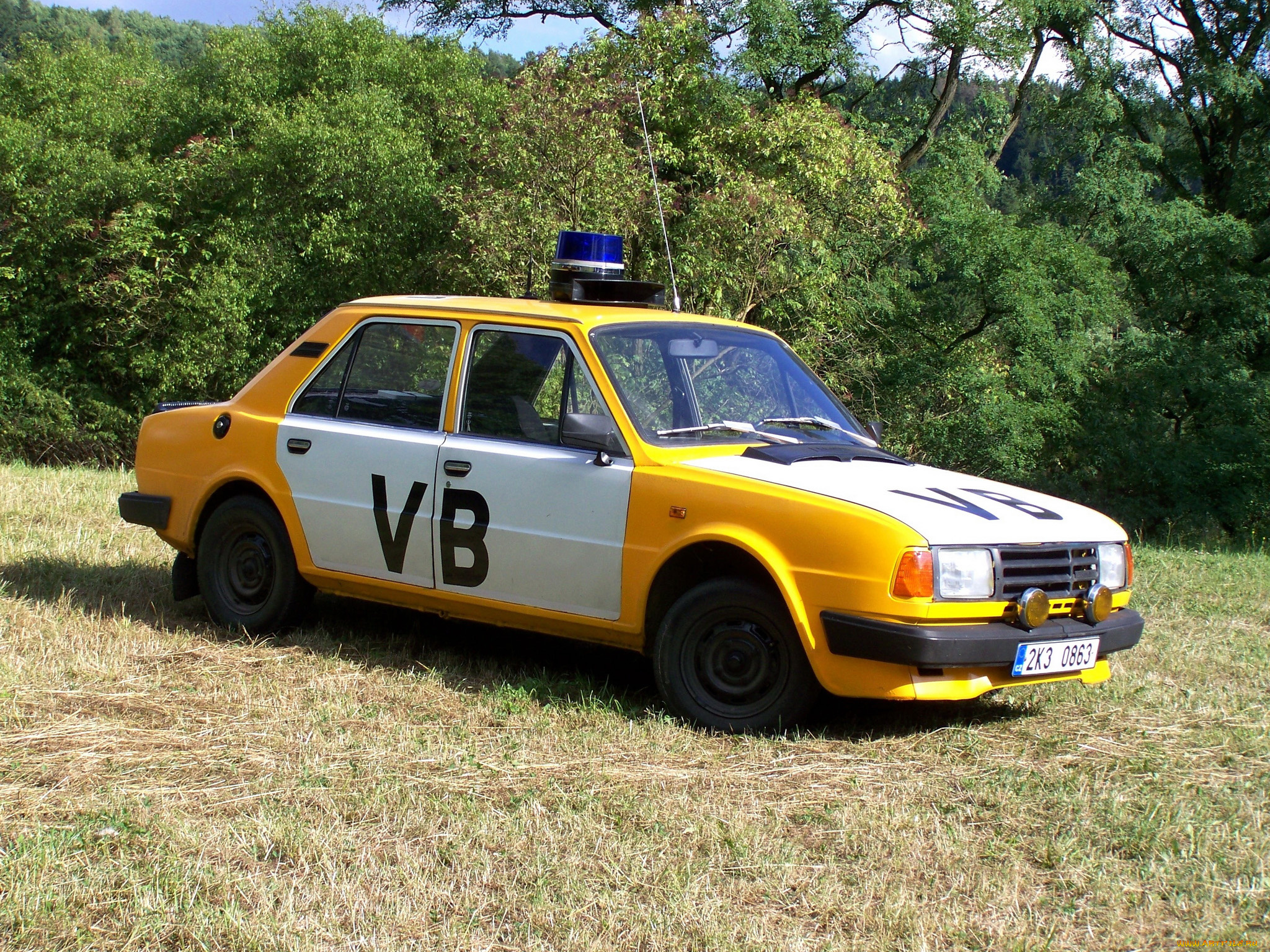 автомобили, полиция