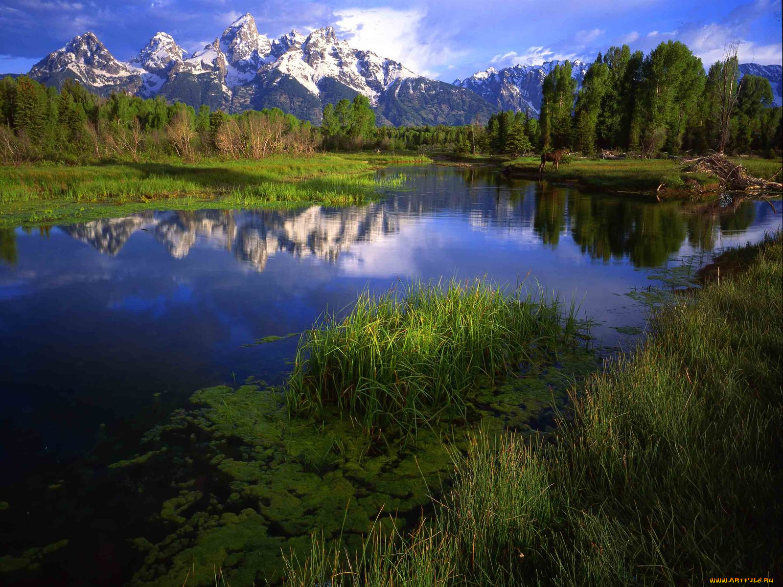 природа, реки, озера, река, гора