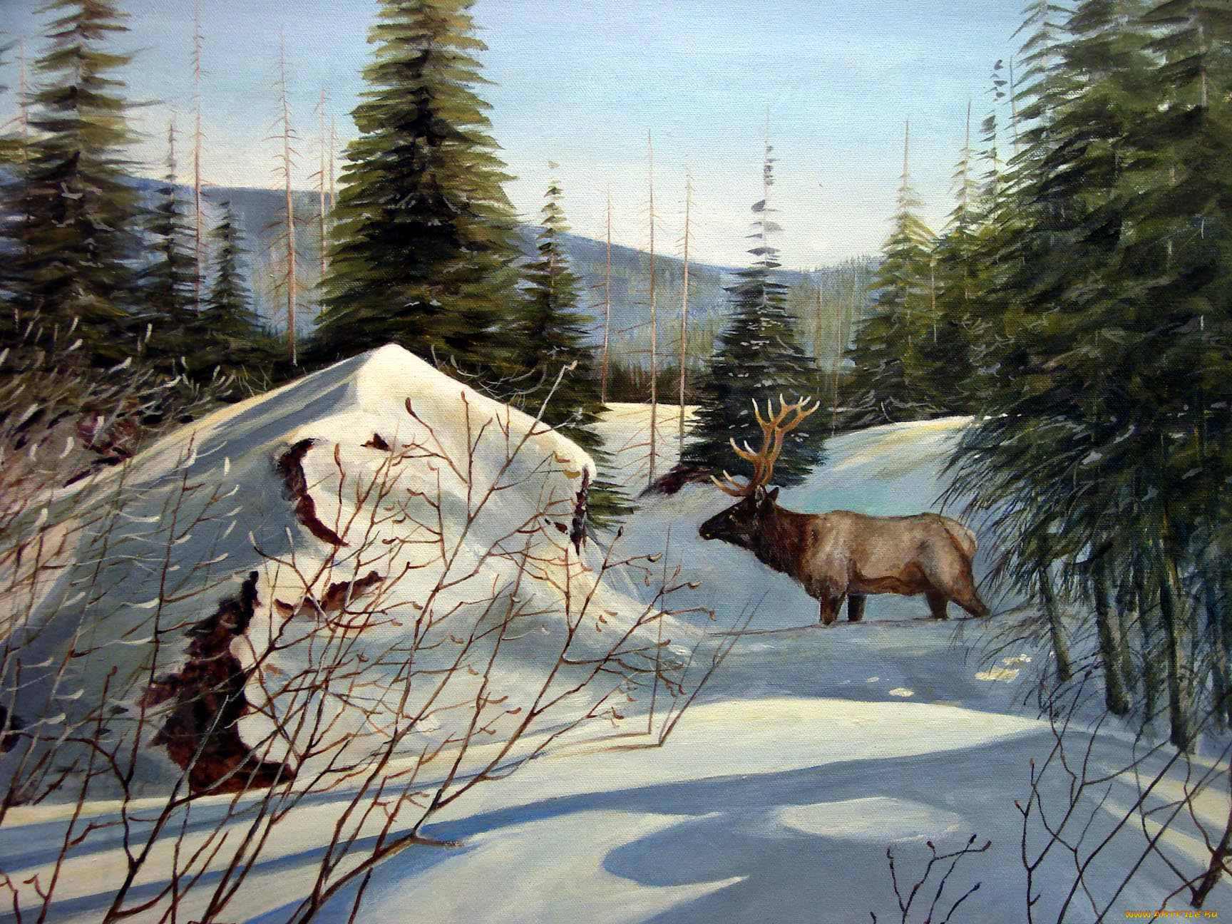 рисованные, животные, олень