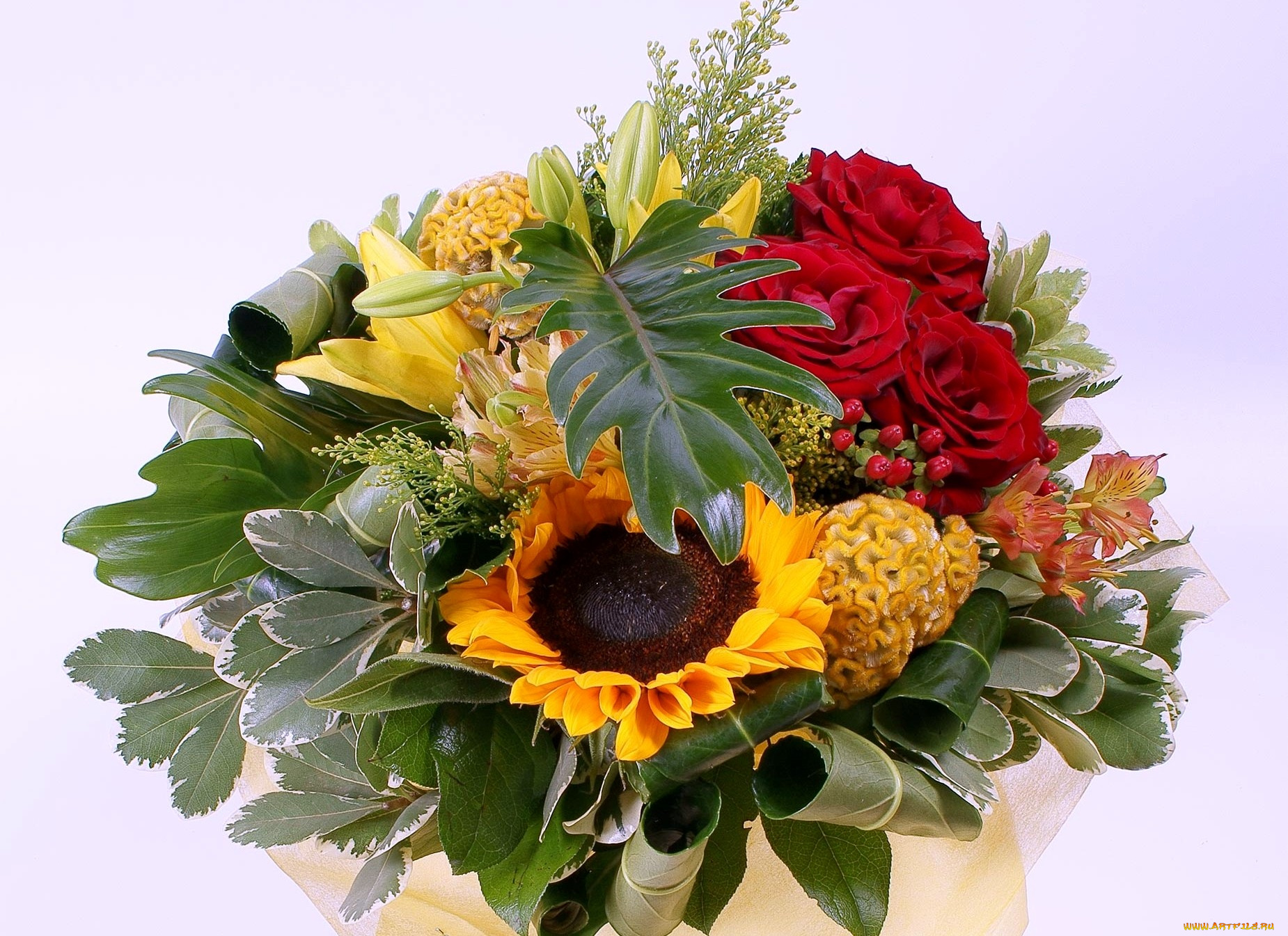 цветы, букеты, композиции, лилии, листья, подсолнух, розы