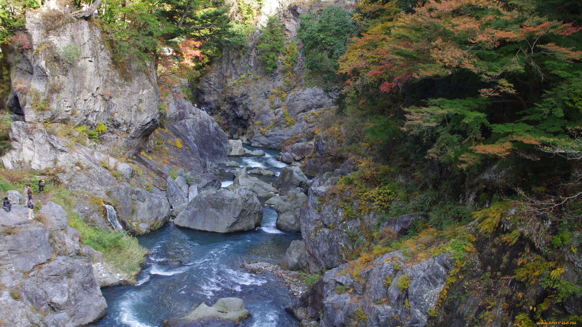 природа, реки, озера, вода, камни