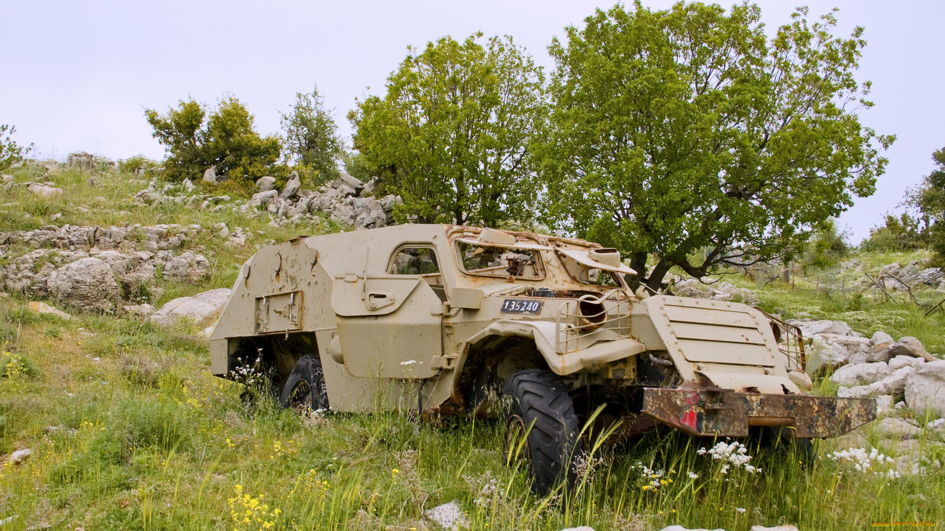 сирийский, бтр, на, горе, хермон, техника, военная, бронетранспортер