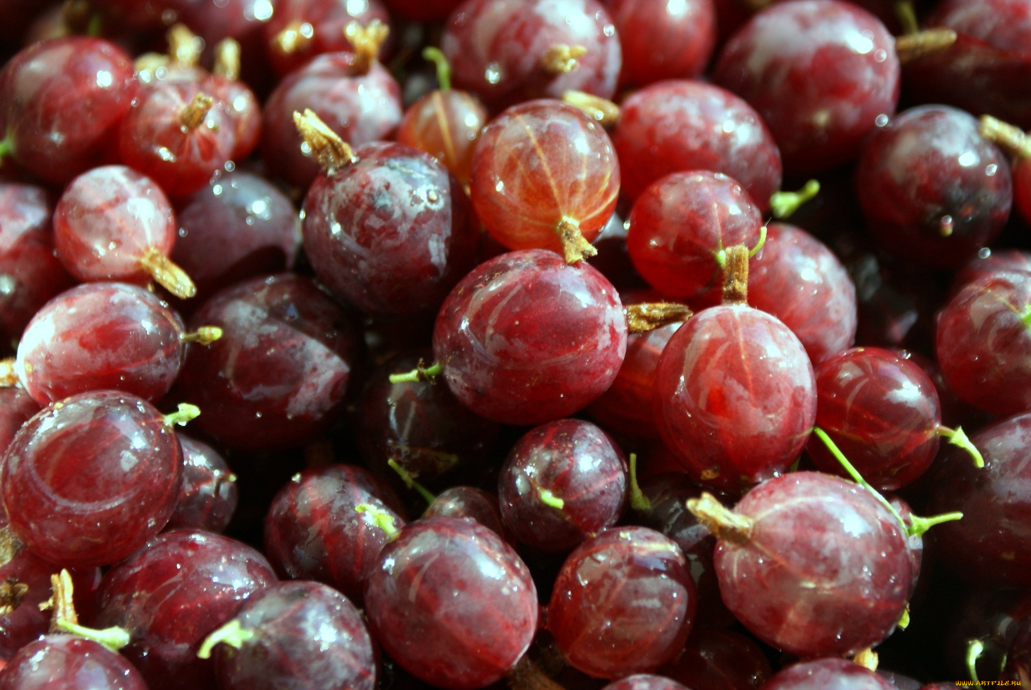 еда, крыжовник, много