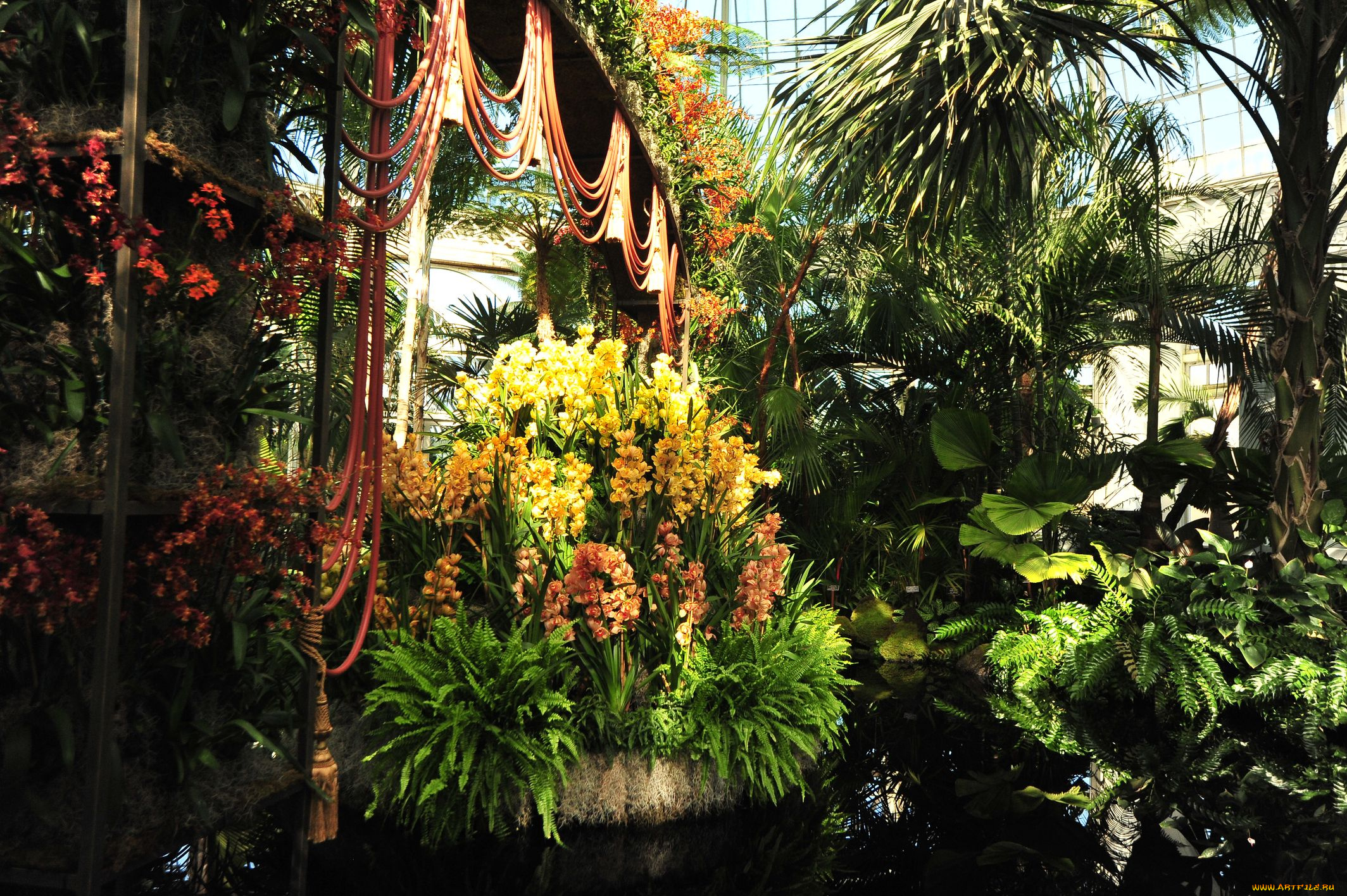 природа, другое, оранжерея