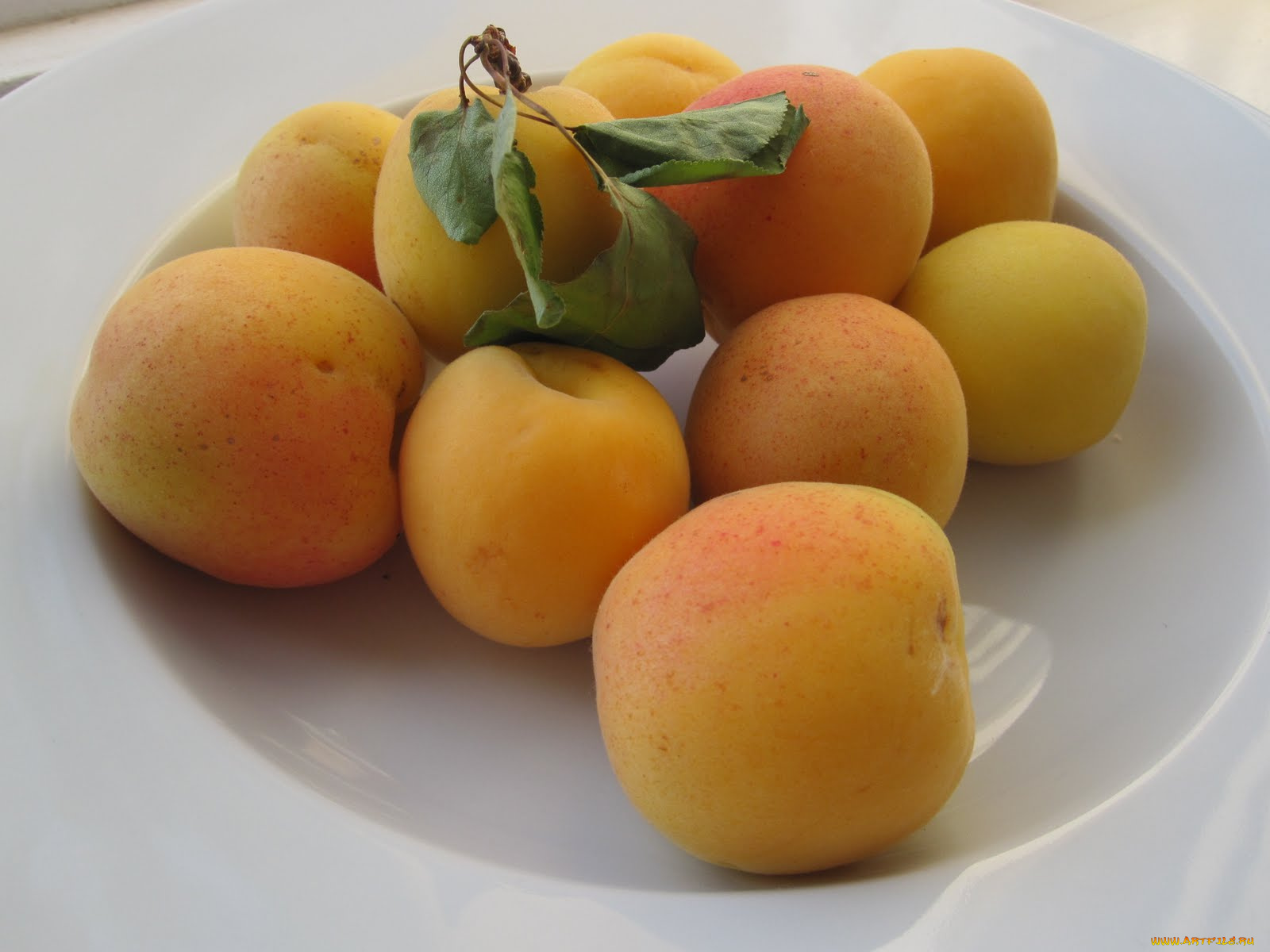 еда, персики, сливы, абрикосы