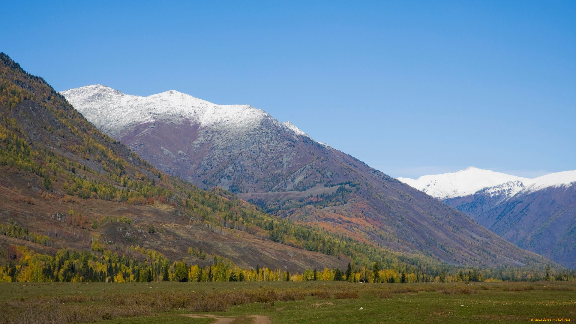 природа, горы, дорога, снег, деревья