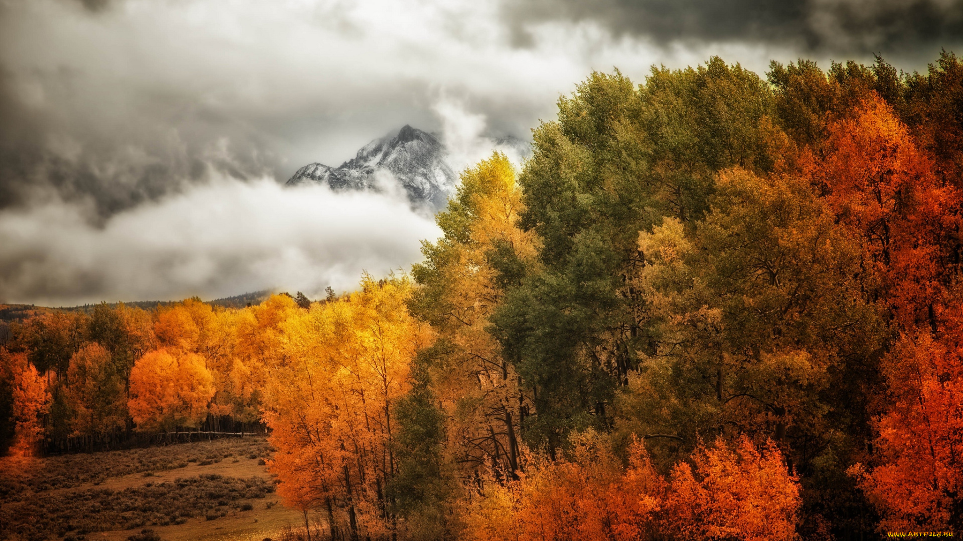 природа, лес, деревья, осень, горы