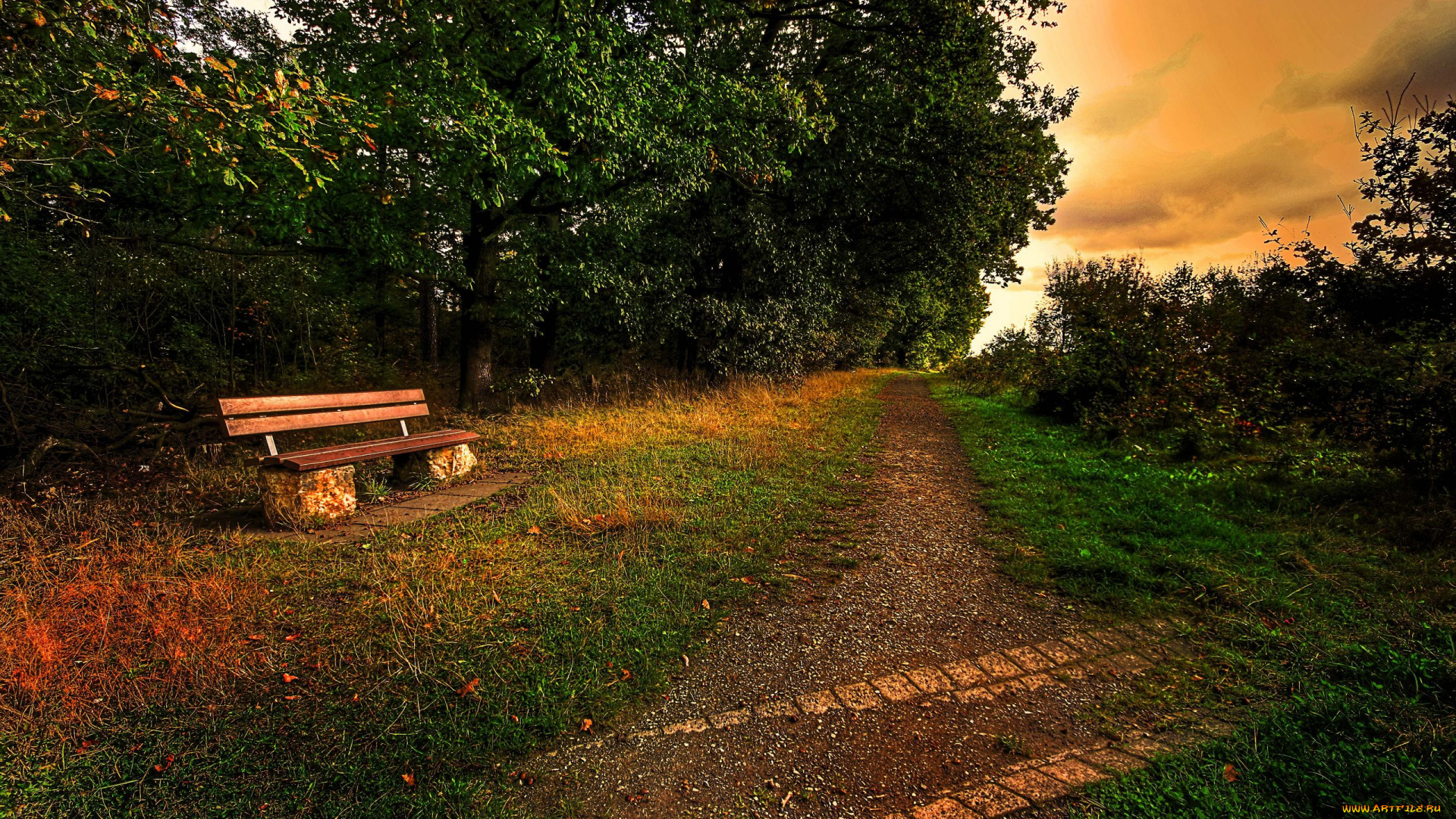 природа, парк, деревья, скамейка, дорожка