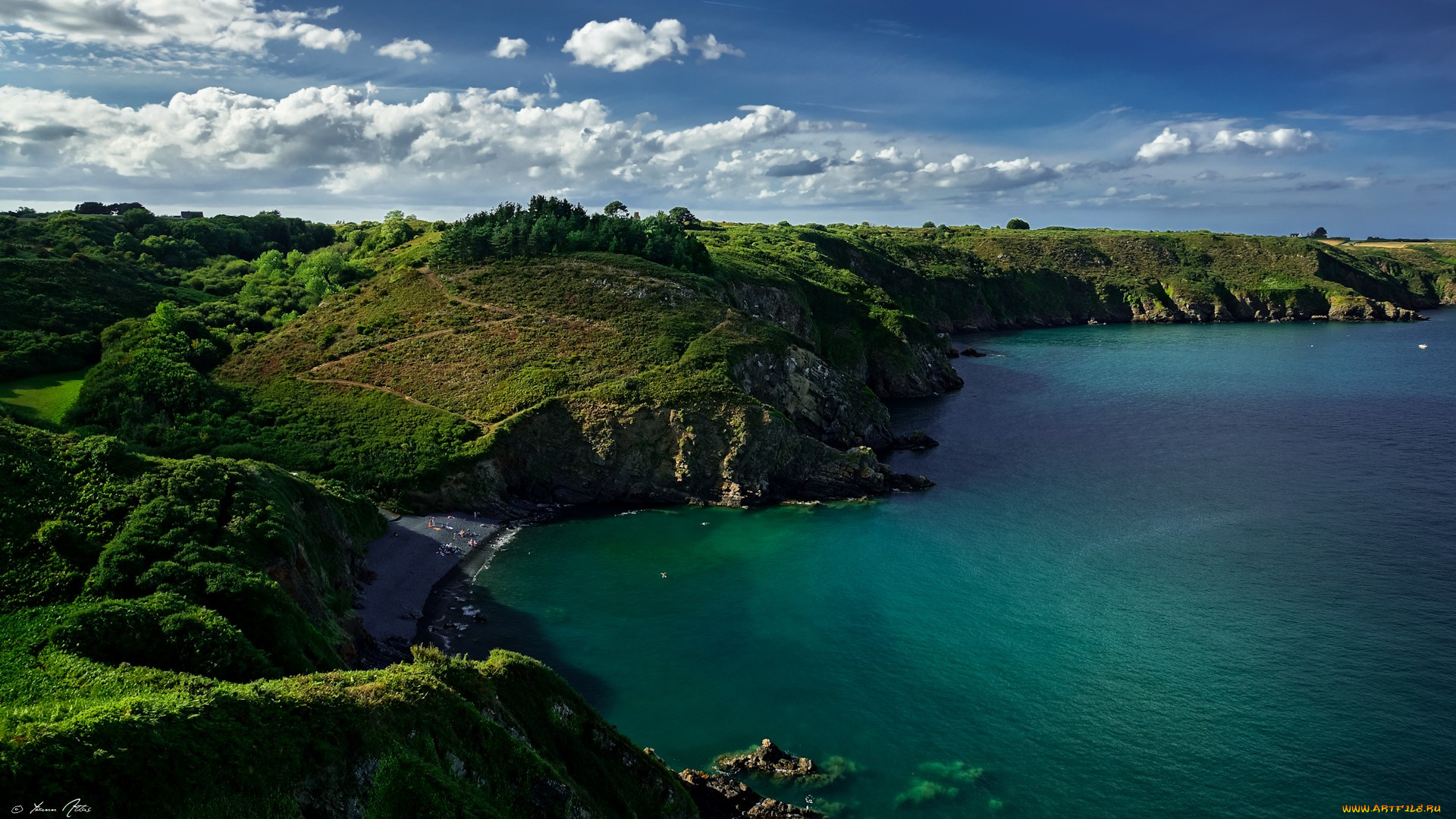 природа, побережье, скалы, берег, океан, растительность