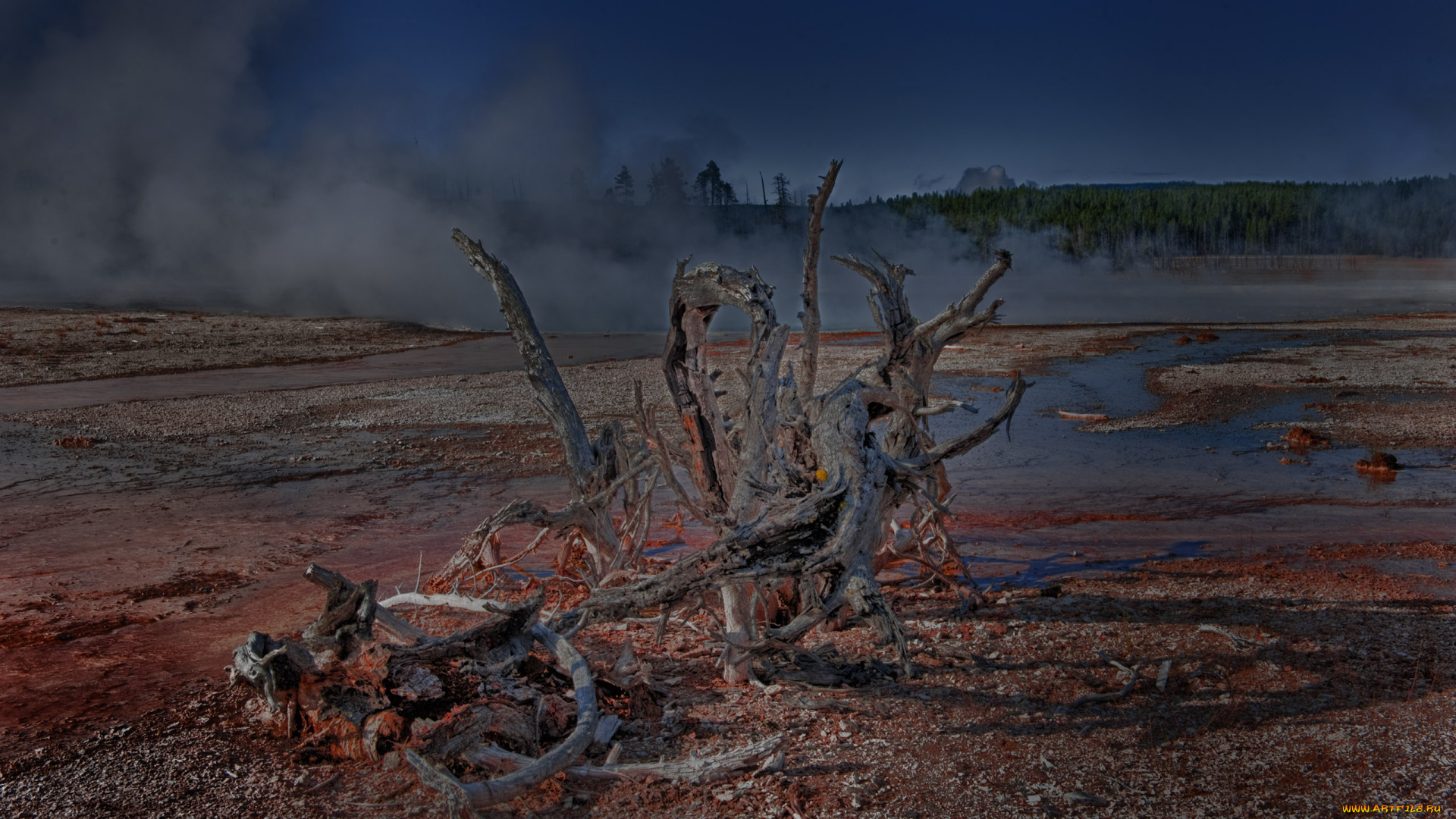 природа, стихия, коряга, горячее, озеро, испарения, красная, почва, лес