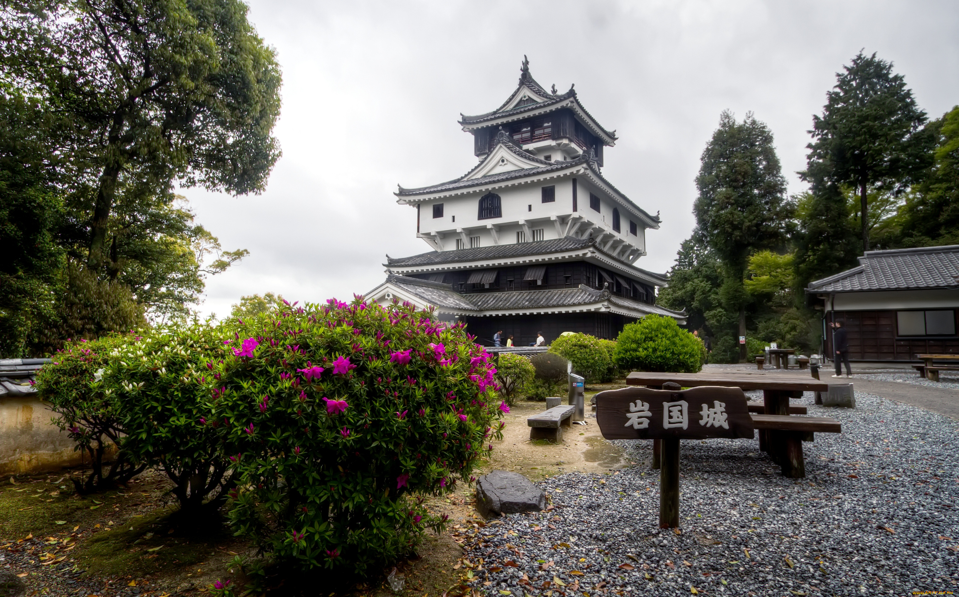 замок, ивакуни, города, замки, Японии, пагода, парк