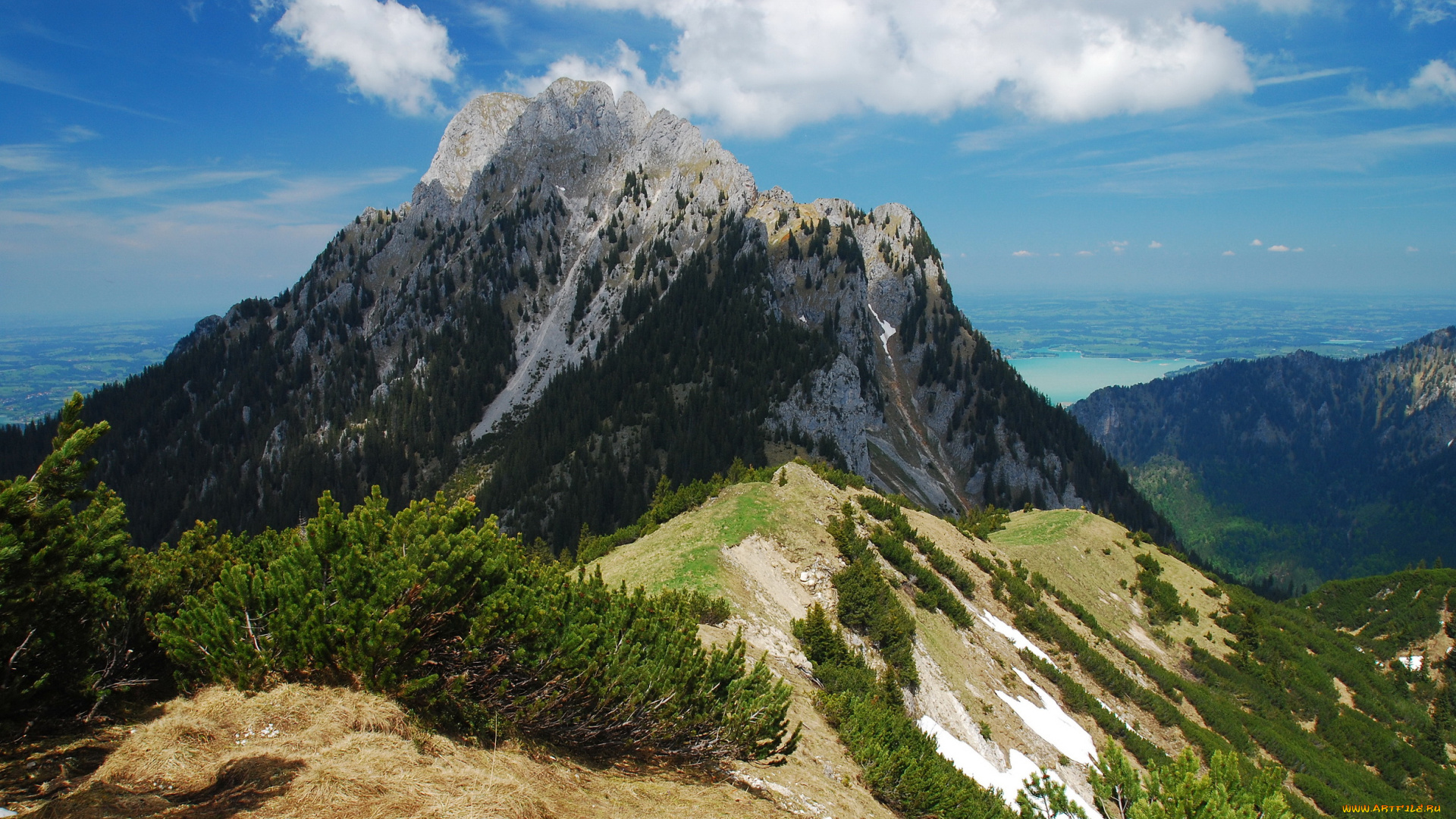 альпы, германия, природа, горы, деревья, трава
