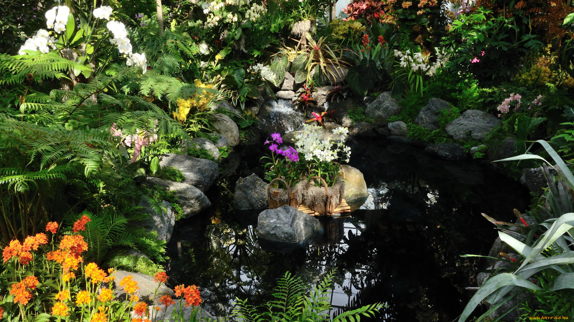 belmont, park, new, york, природа, парк, кусты, водоем, трава, цветы