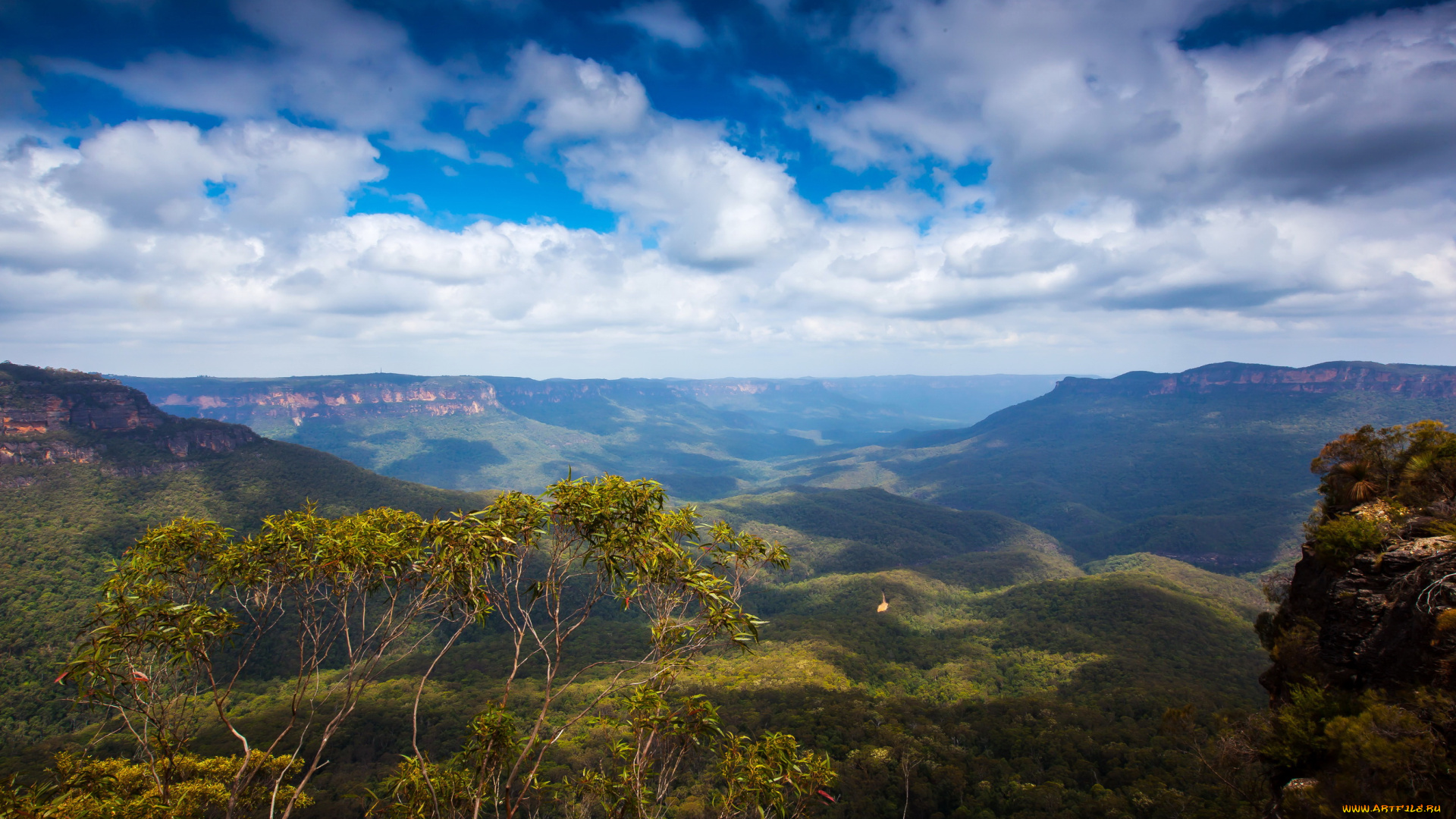 blue, mountain, national, park, австралия, природа, горы, парк, лес