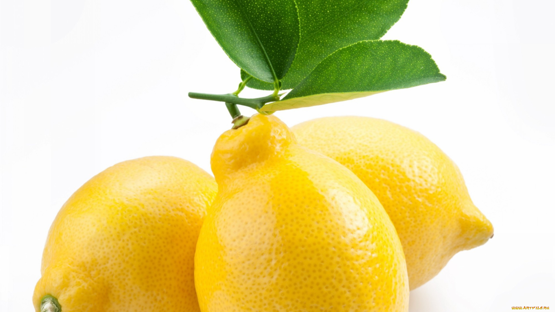 еда, цитрусы, листья, три, лимона
