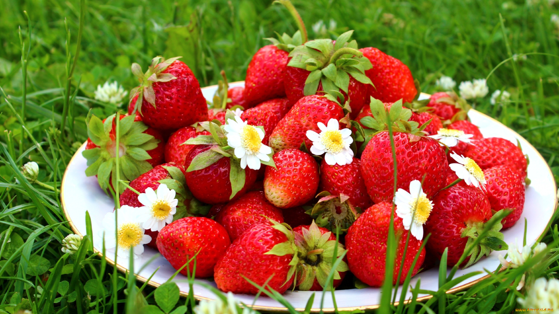 еда, клубника, земляника, ягоды, тарелка