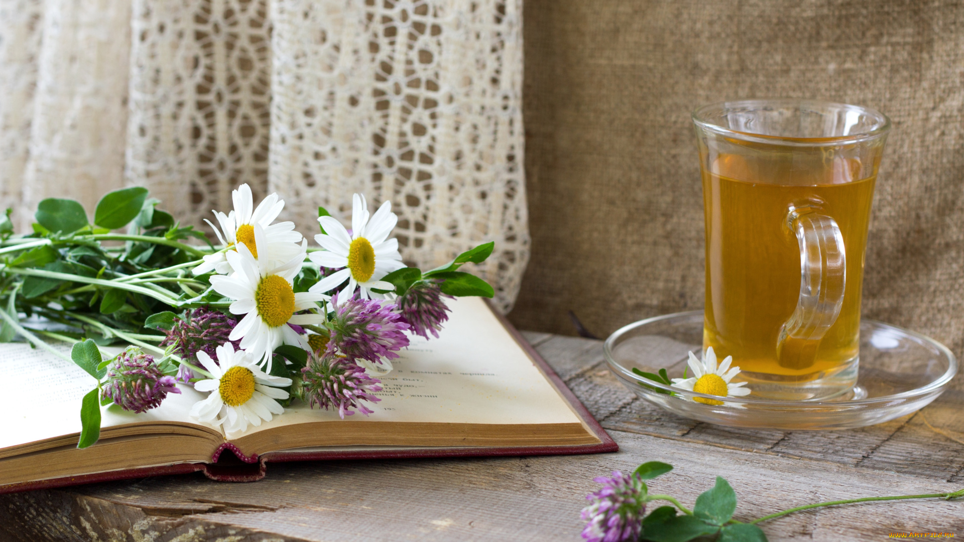 еда, напитки, Чай, ромашки, книга, чашка, клевер