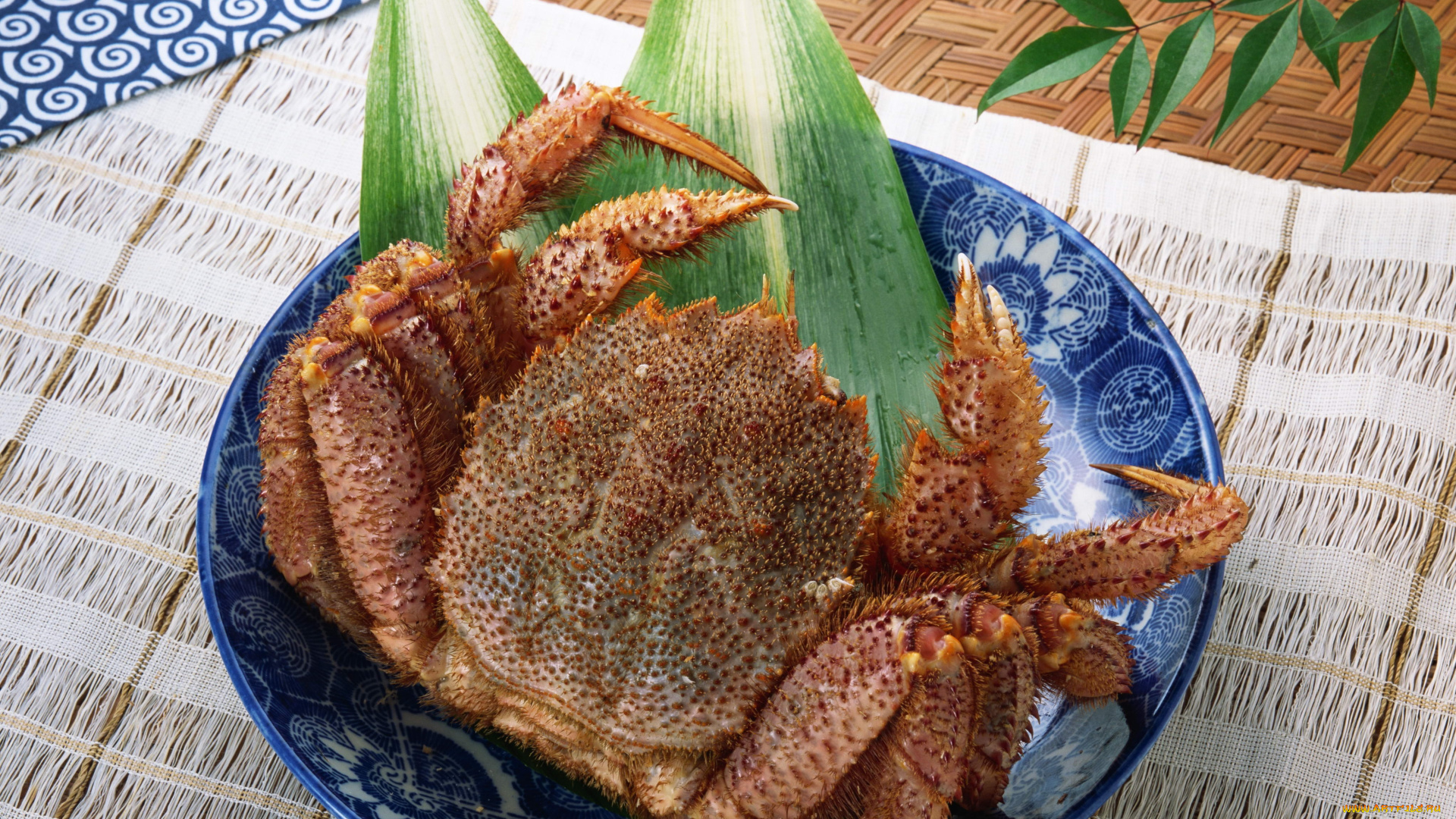 еда, рыба, морепродукты, суши, роллы, блюдо, краб