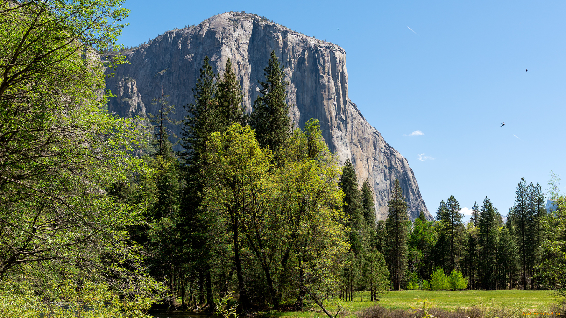 природа, горы, yosemite, national, park, река