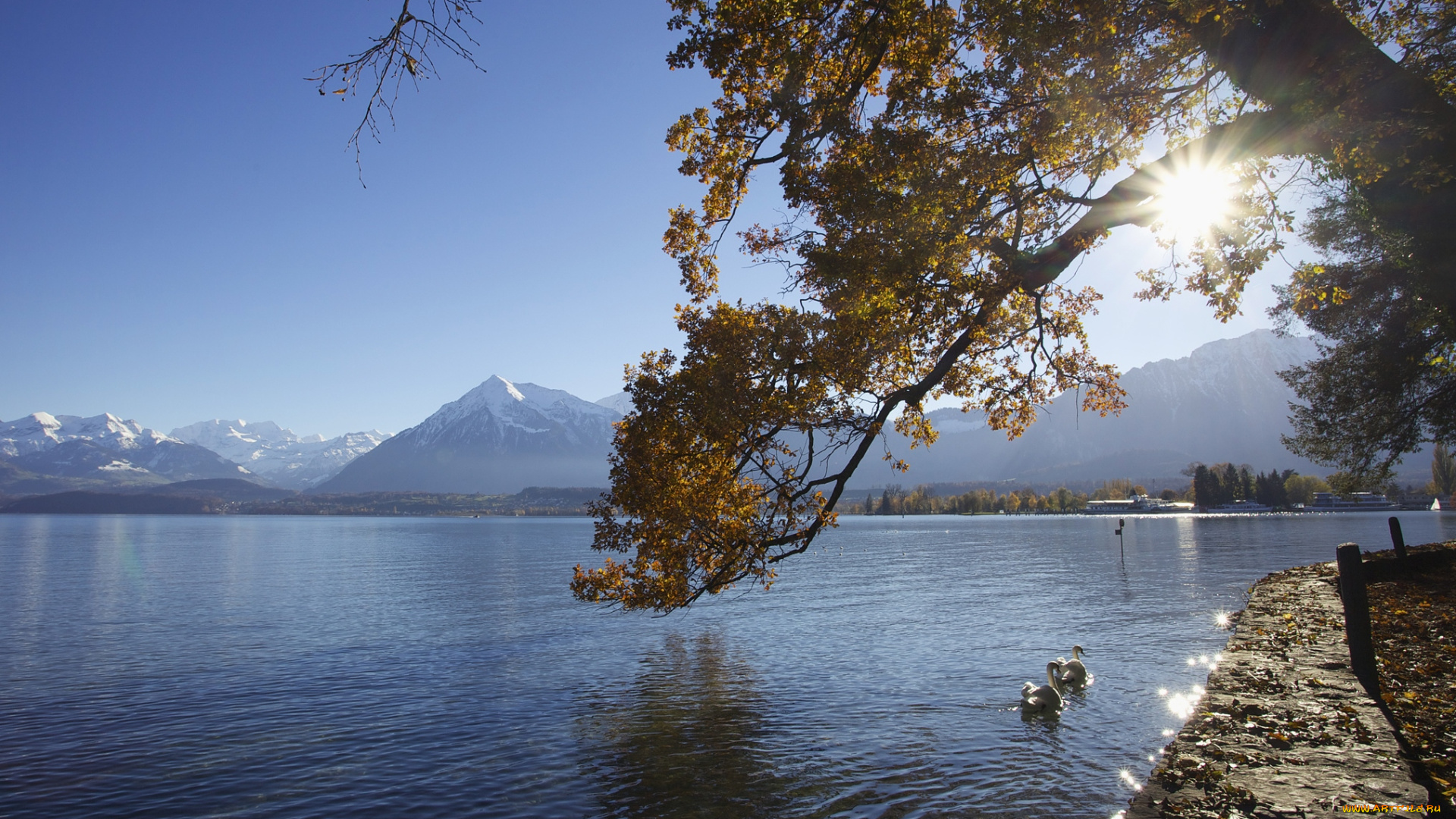 природа, реки, озера, лебеди, гора, вода
